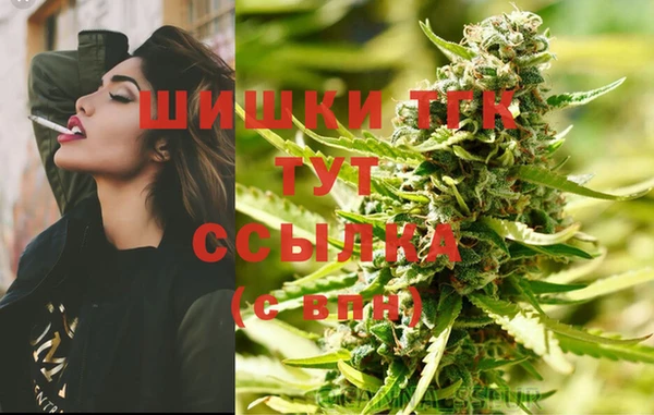 эйфоретик Медногорск