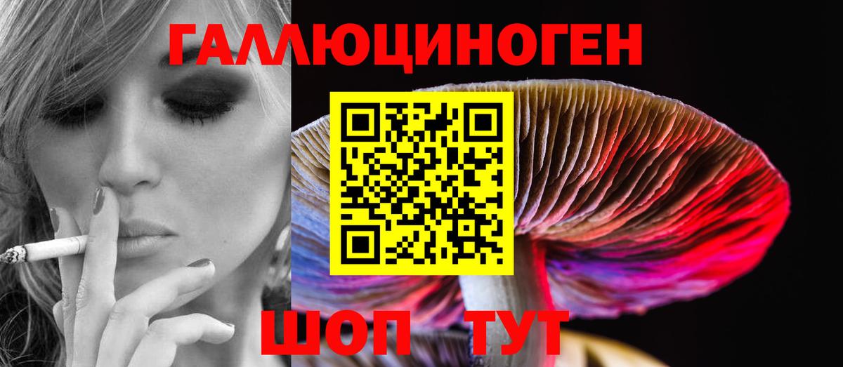 Галлюциногенные грибы Psilocybe Кириши