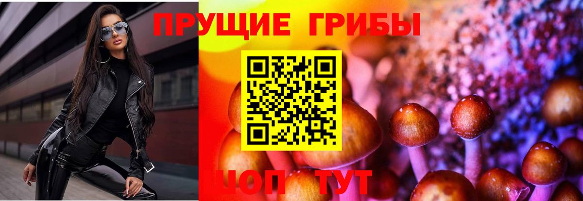 Кириши  Псилоцибиновые грибы ЛСД  Псилоцибиновые грибы прущие грибы  Вход с VPN 